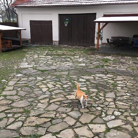 Ubytovani V Soukromi U Volneho Příbor Zewnętrze zdjęcie